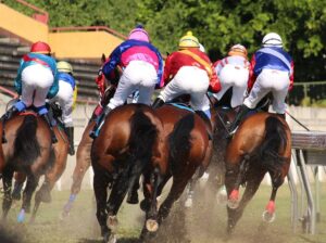 horses racing image for cheltenham festival tickets