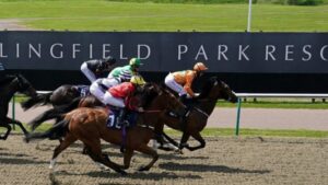 Lingfield park image for lingfield racing tips