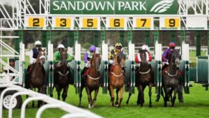 sandown park image for Sandown Racing Tips